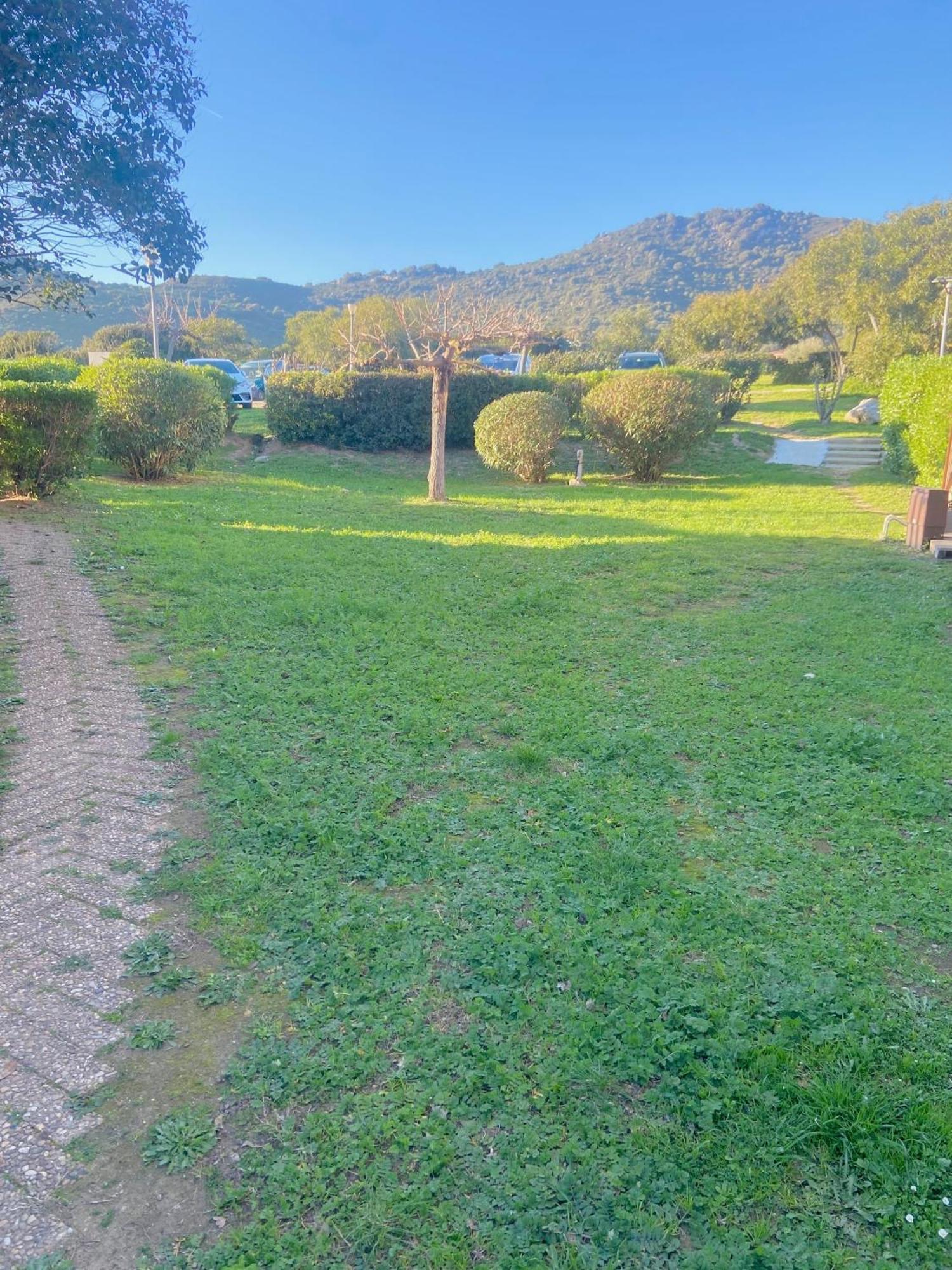 Tres Bel Appartement Les Pieds Dans L'Eau Appietto ภายนอก รูปภาพ