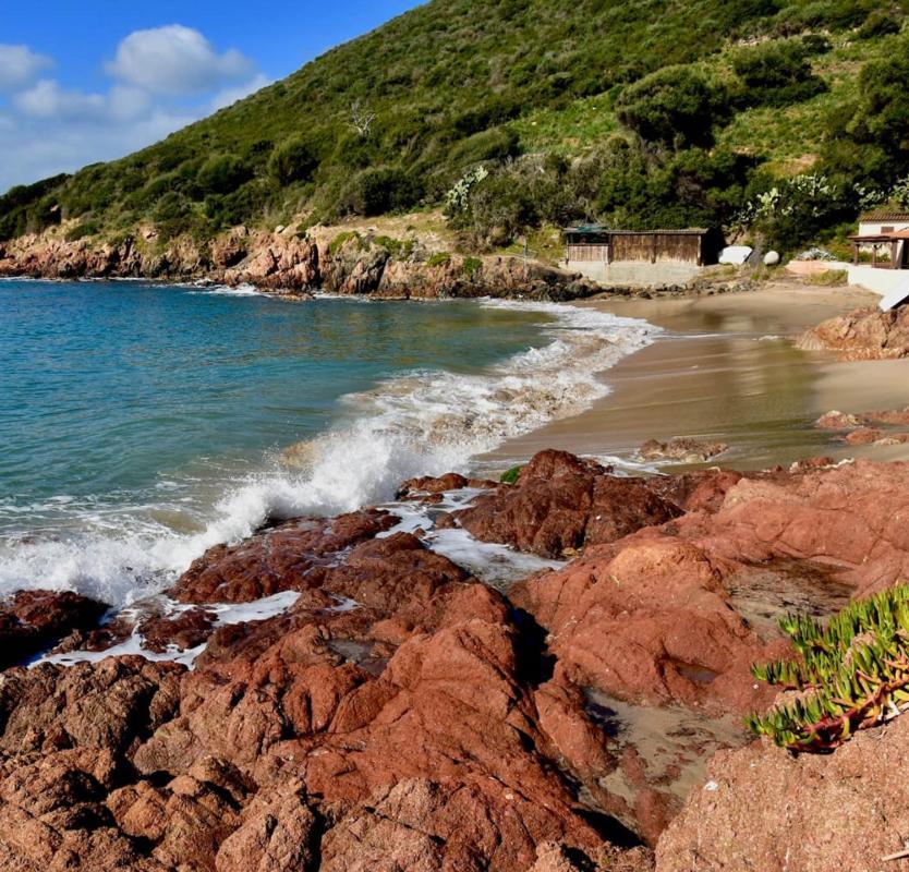 Tres Bel Appartement Les Pieds Dans L'Eau Appietto ภายนอก รูปภาพ